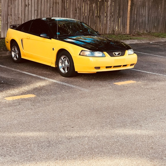 Meet your Posher, Bryan - Picture 1 of 1